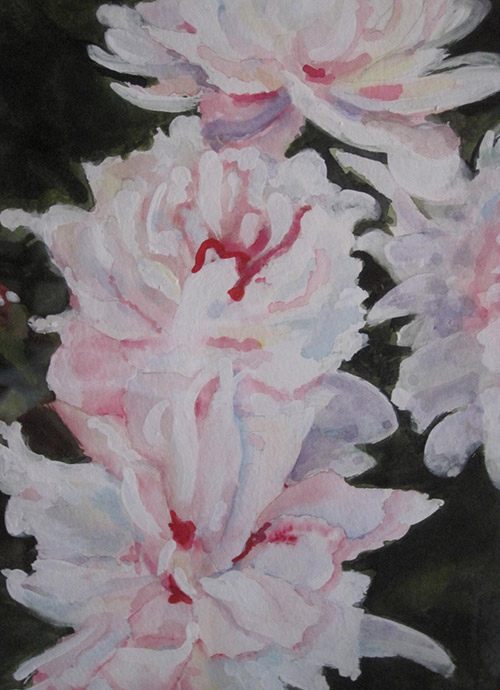 PEONIESWatercolor on paper17"W x 21.5"HOriginal framed $180