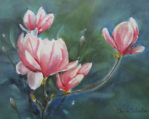 SAUCER MAGNOLIASGiclee print on canvas (gallery wrapped)16"W x 20"H$150