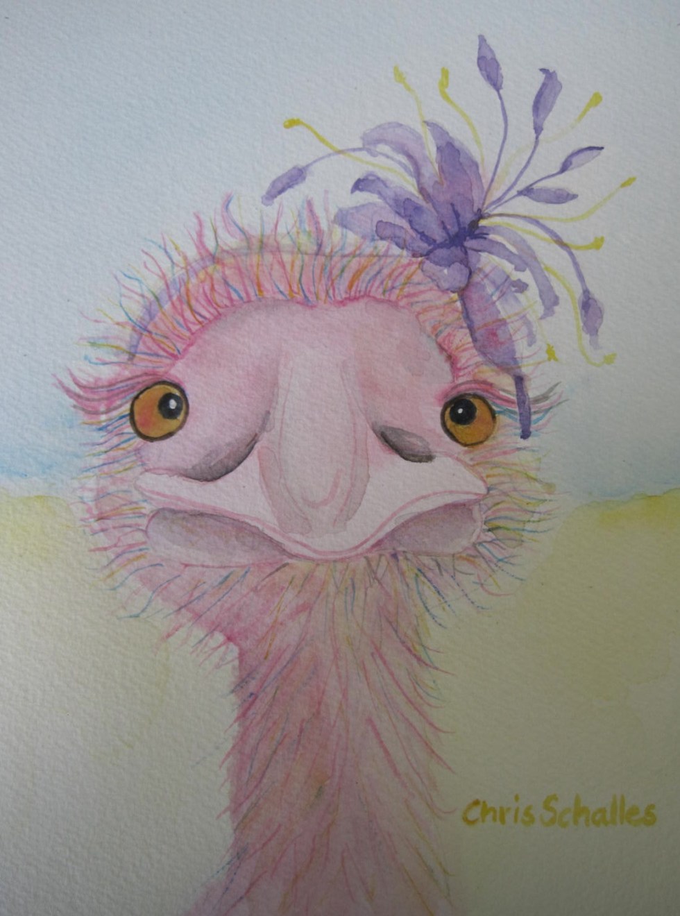 Wacky Fascination   May 2013