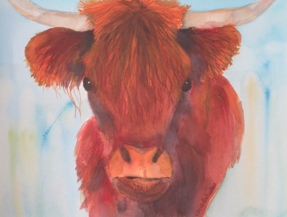 Colorful Highland Cow original watercolor $150